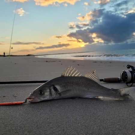 Ferienparadies Seeluft Kamperland Bagian luar foto