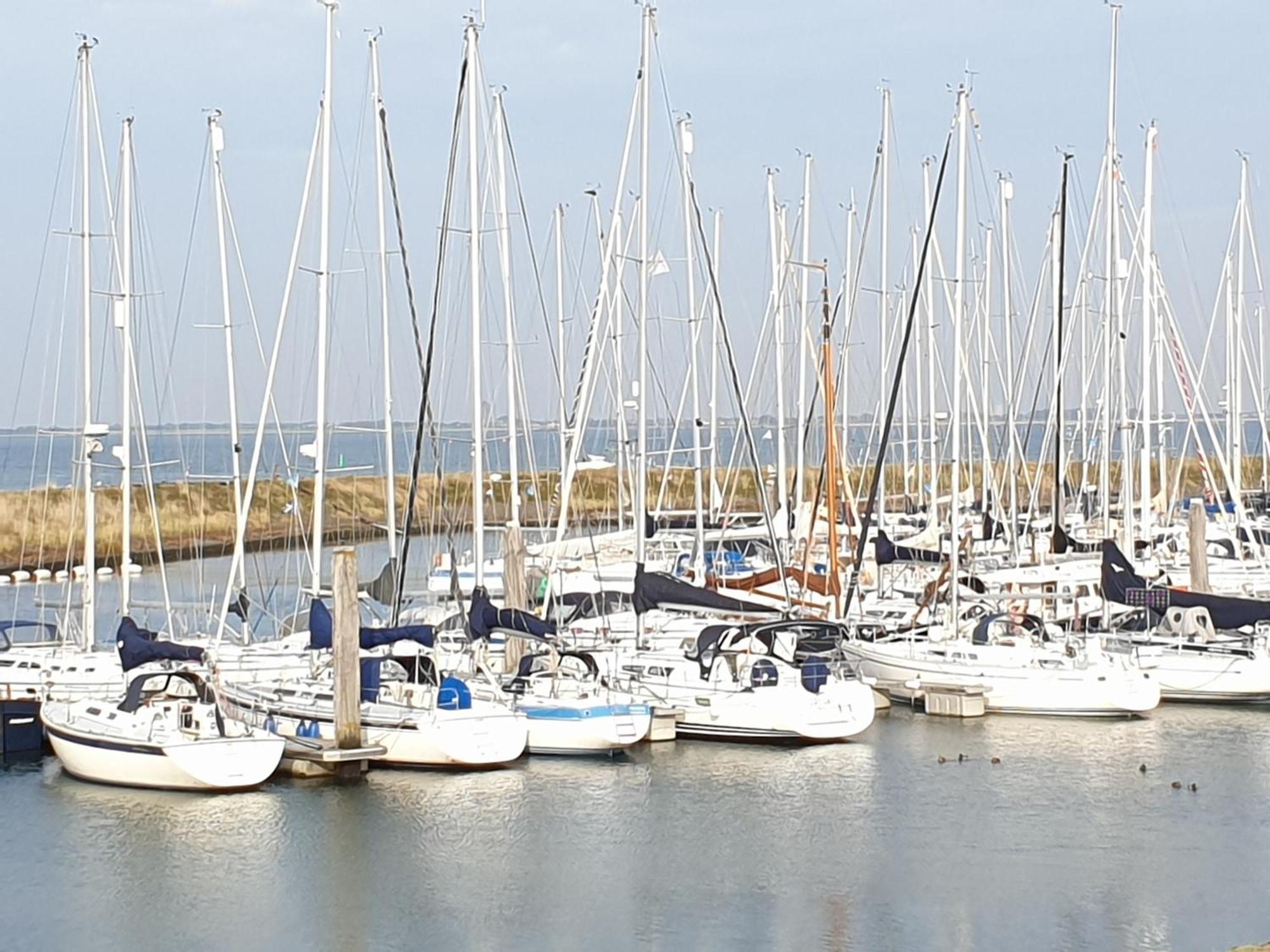 Ferienparadies Seeluft Kamperland Bagian luar foto